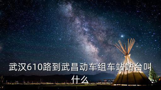 武漢610路到武昌動車組車站站臺叫什么