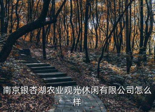 銀杏湖，國慶期間銀杏湖游樂園門票什么價(jià)格