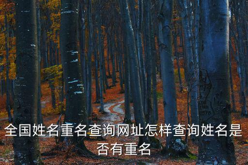 姓名查詢，查自己的名字全國有多少個(gè)