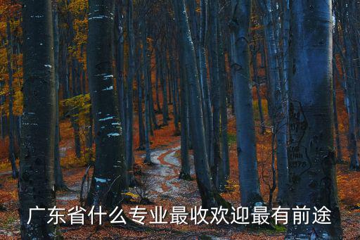 廣東省什么專(zhuān)業(yè)最收歡迎最有前途