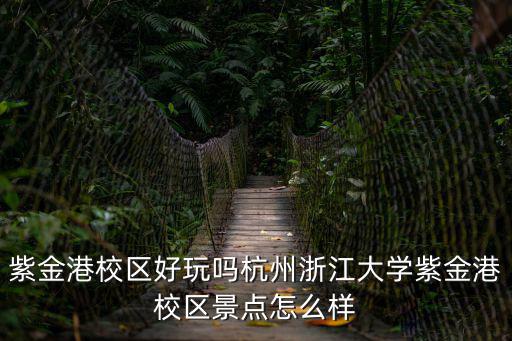 紫金港校區好玩嗎杭州浙江大學紫金港校區景點怎么樣