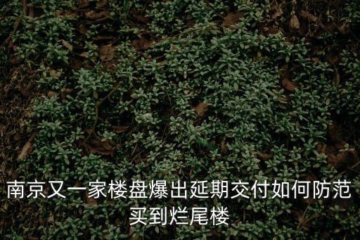 南京又一家樓盤爆出延期交付如何防范買到爛尾樓