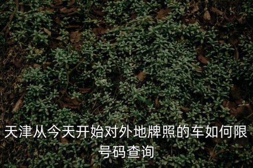 天津從今天開始對外地牌照的車如何限號碼查詢