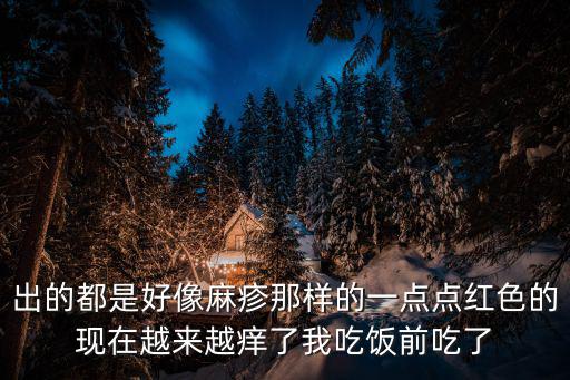出的都是好像麻疹那樣的一點(diǎn)點(diǎn)紅色的現(xiàn)在越來(lái)越癢了我吃飯前吃了