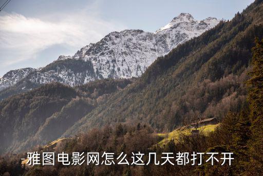 雅圖tv，雅圖是2B么