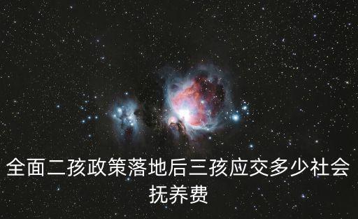 全面二孩政策落地后三孩應交多少社會撫養費