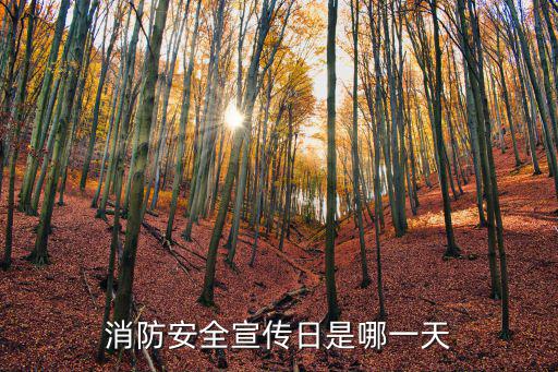 消防安全宣傳日是哪一天