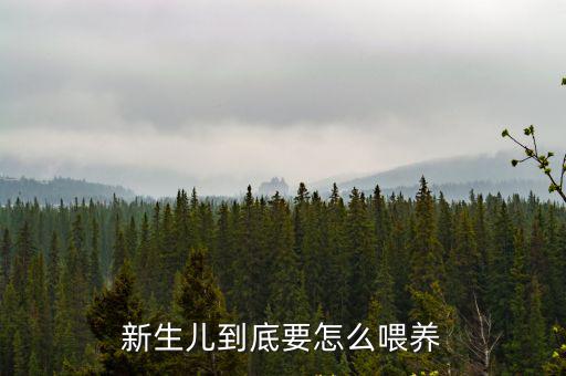 新生兒到底要怎么喂養