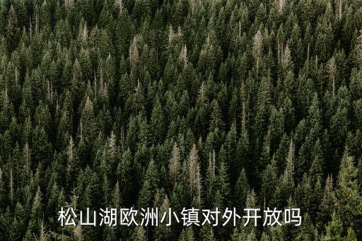 松山湖歐洲小鎮(zhèn)對(duì)外開放嗎
