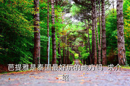 芭提雅是泰國最好玩的地方嗎  求介紹