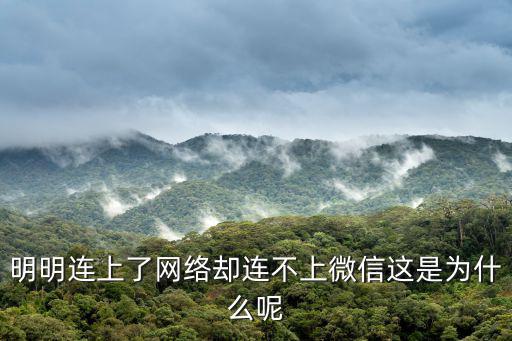 明明連上了網絡卻連不上微信這是為什么呢