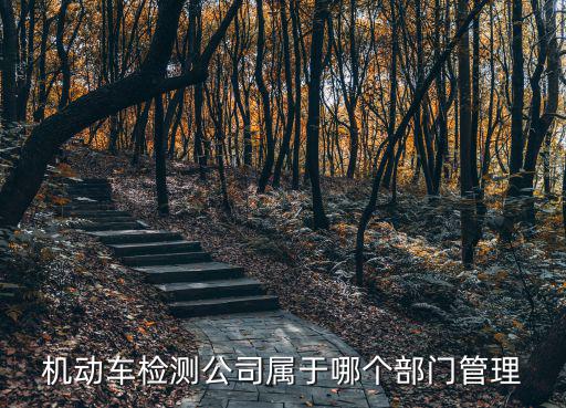 機動車檢測公司屬于哪個部門管理