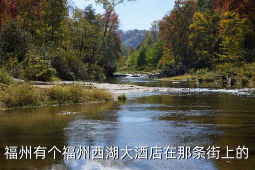 福州有個(gè)福州西湖大酒店在那條街上的