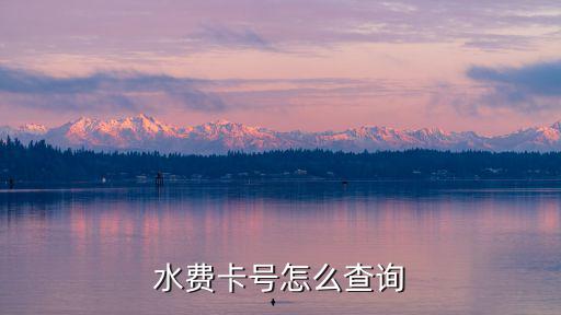 怎么查水費戶號，在網(wǎng)上能否查到水費帳號