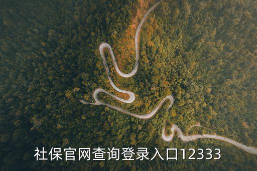 社保官網(wǎng)查詢登錄入口12333
