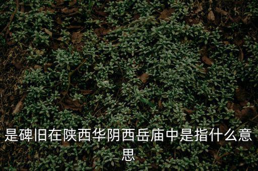 是碑舊在陜西華陰西岳廟中是指什么意思