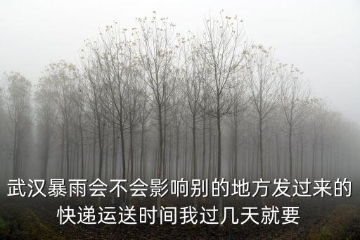 武漢暴雨會不會影響別的地方發過來的快遞運送時間我過幾天就要