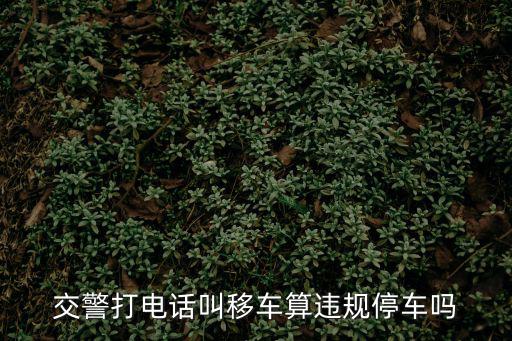 交警打電話叫移車算違規停車嗎