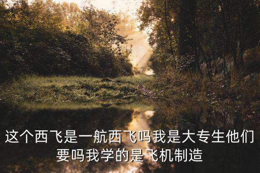 這個西飛是一航西飛嗎我是大專生他們要嗎我學的是飛機制造