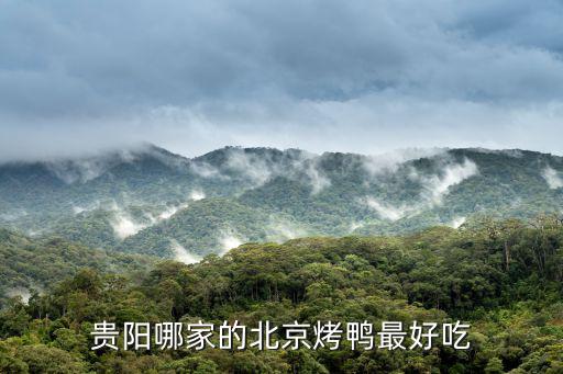 貴陽哪家的北京烤鴨最好吃