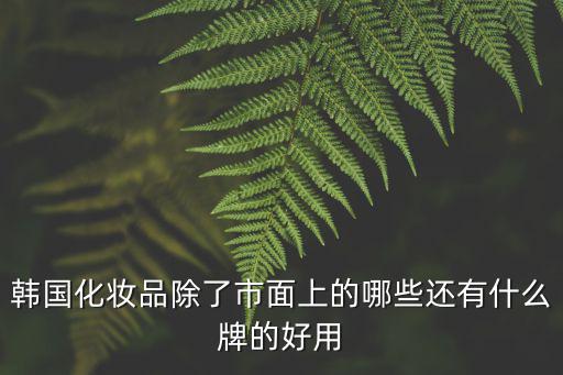 韓國化妝品除了市面上的哪些還有什么牌的好用