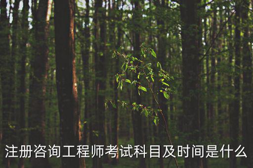 注冊(cè)咨詢工程師考試科目及時(shí)間是什么