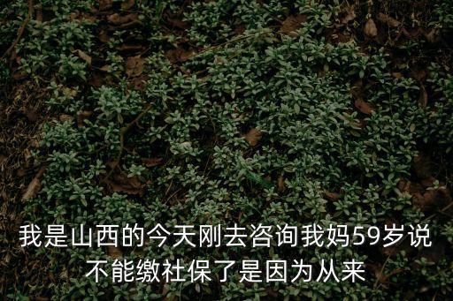 我是山西的今天剛去咨詢我媽59歲說不能繳社保了是因為從來
