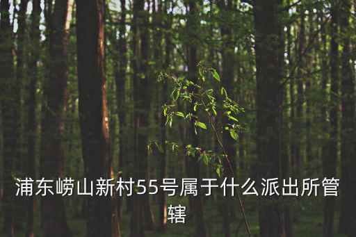 新村派出所，浦東新區東南新村屬于什么派出所