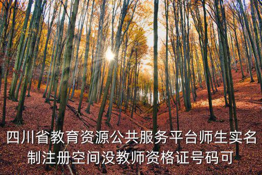 四川省教育資源公共服務(wù)平臺(tái)師生實(shí)名制注冊(cè)空間沒教師資格證號(hào)碼可