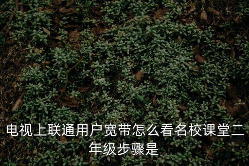 電視上聯(lián)通用戶(hù)寬帶怎么看名校課堂二年級(jí)步驟是