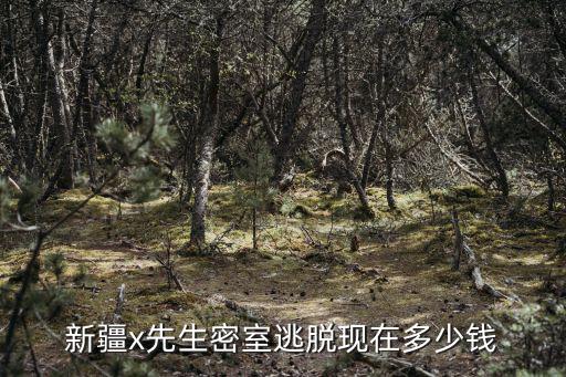 新疆x先生密室逃脫現在多少錢