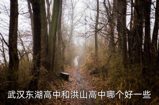 武漢東湖高中和洪山高中哪個好一些
