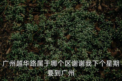 廣州越華路屬于哪個區謝謝我下個星期要到廣州