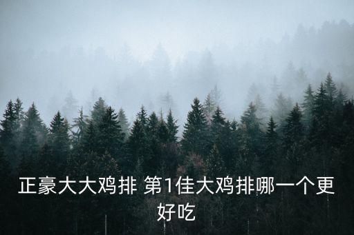 正豪大大雞排 第1佳大雞排哪一個更好吃