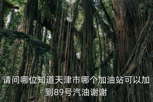 89號汽油，推薦加92號汽油的車子加了89號汽油會怎么樣