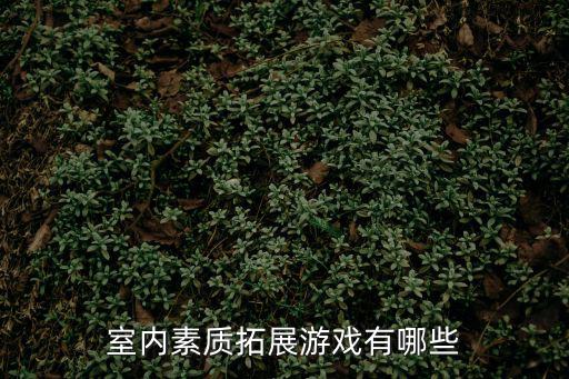 拓展168，拓展訓練當中的一個游戲 叫做先入咸陽者王
