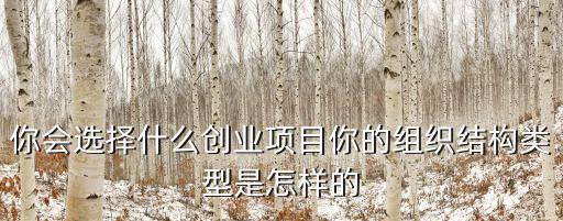你會選擇什么創(chuàng)業(yè)項目你的組織結(jié)構(gòu)類型是怎樣的