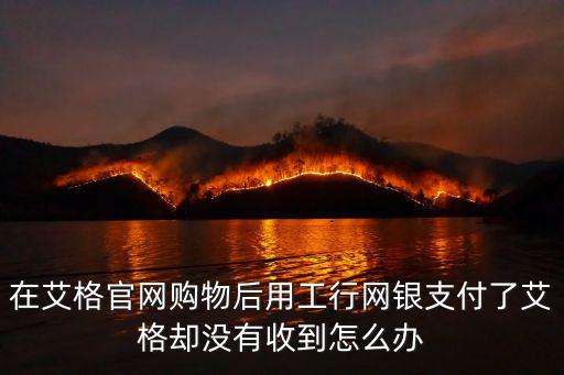 在艾格官網購物后用工行網銀支付了艾格卻沒有收到怎么辦