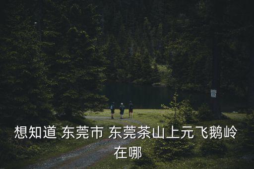 想知道 東莞市 東莞茶山上元飛鵝嶺 在哪