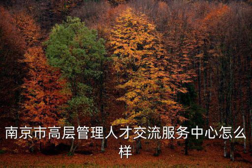 南京市高層管理人才交流服務中心怎么樣