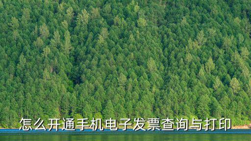 怎么開通手機電子發票查詢與打印