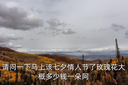 玫瑰情人節，情人節玫瑰花代表什么意思