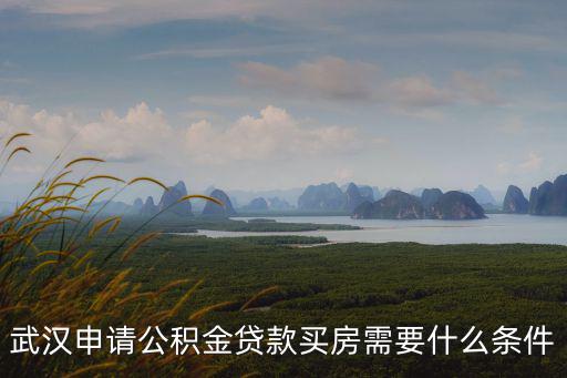 武漢貸款，武漢辦理銀行無抵押個人貸款需要符合哪些條件