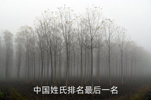 中國姓氏排名最后一名