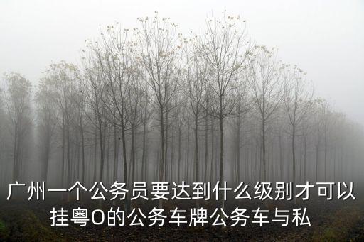 廣州一個公務員要達到什么級別才可以掛粵O的公務車牌公務車與私