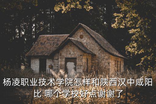 楊凌職業技術學院，楊凌職業技術學院怎樣和陜西漢中咸陽比 哪個學校好點謝謝了