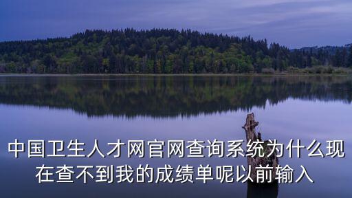 中國衛(wèi)生人才網(wǎng)官網(wǎng)查詢系統(tǒng)為什么現(xiàn)在查不到我的成績單呢以前輸入