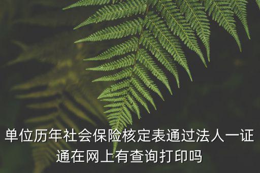 單位歷年社會保險核定表通過法人一證通在網上有查詢打印嗎