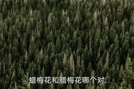 蠟梅花和臘梅花哪個對