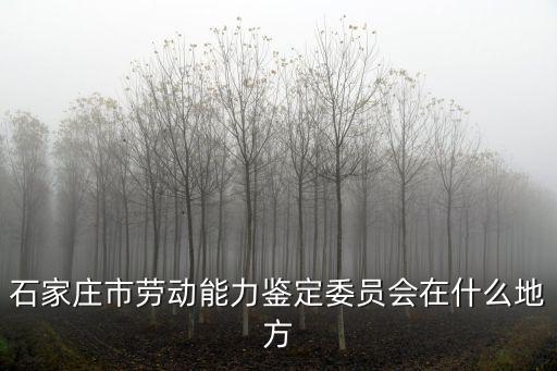 勞動能力鑒定委員會，勞動能力鑒定委員會是能評定傷殘等級嗎